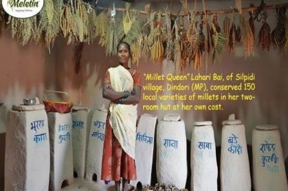 WhatsApp Image 2026-03-15 at 8.15.14 PM