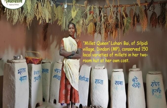 WhatsApp Image 2026-03-15 at 8.15.14 PM