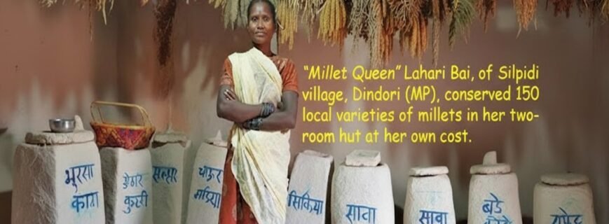 WhatsApp Image 2026-03-15 at 8.15.14 PM