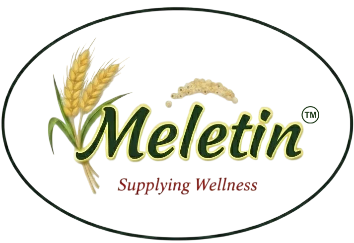 melet.mybloggingfirm.com